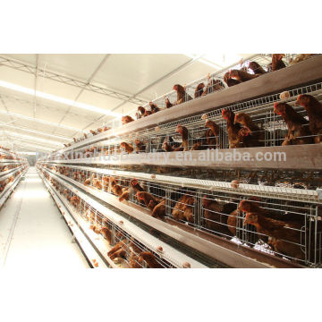 Gute Qualität und beste Verkauf Hühnerkäfig zum Verkauf in Philippinen